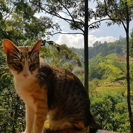 Waterfalls Homestay Procida Dış mekan fotoğraf